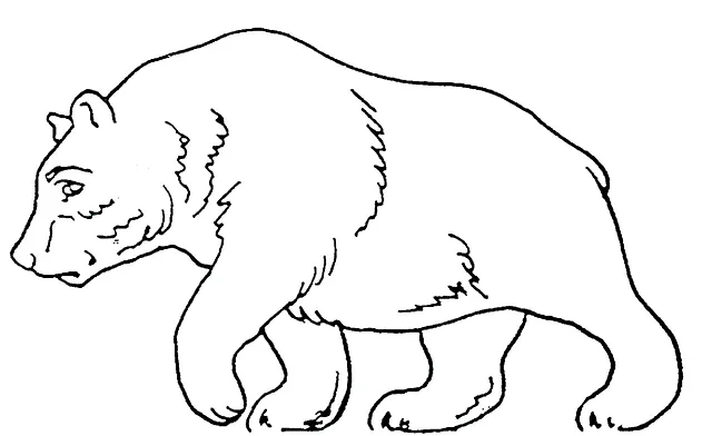 Baloo