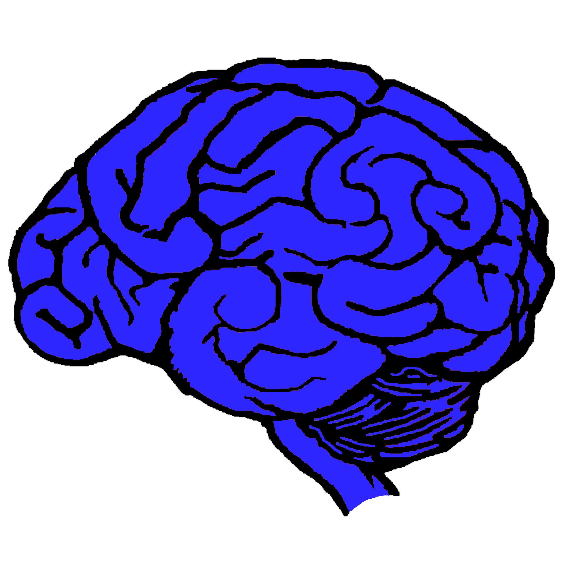 Hjernen Blå