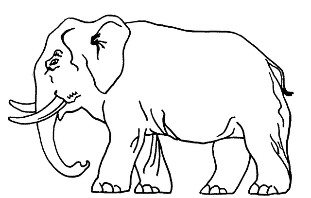 Hathi