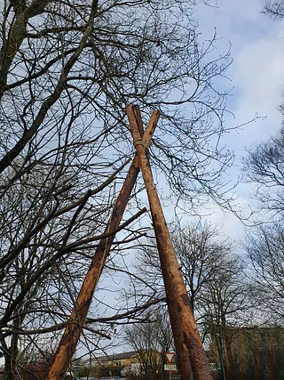 Treben. Pionering