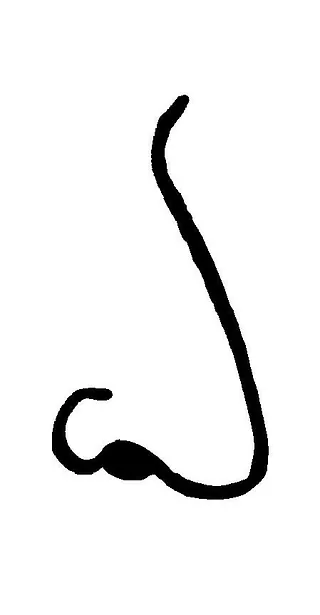 Næse